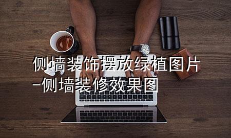 侧墙装饰摆放绿植图片-侧墙装修效果图