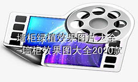 墙柜绿植效果图片大全-墙柜效果图大全2020款