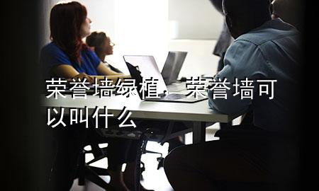 荣誉墙绿植，荣誉墙可以叫什么