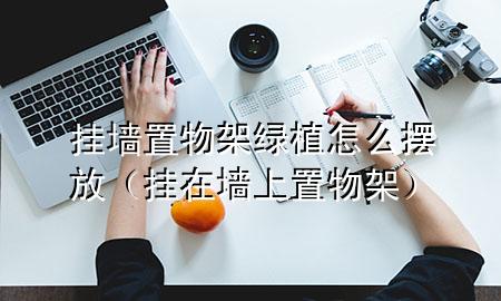 挂墙置物架绿植怎么摆放（挂在墙上置物架）