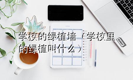 学校的绿植墙（学校里的绿植叫什么）