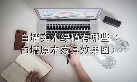 白墙实木绿植有哪些（白墙原木家具效果图）