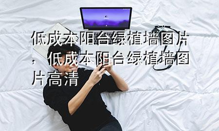 低成本阳台绿植墙图片，低成本阳台绿植墙图片高清