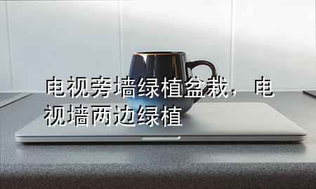 电视旁墙绿植盆栽，电视墙两边绿植