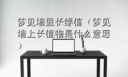 梦见墙里长绿植（梦见墙上长植物是什么意思）