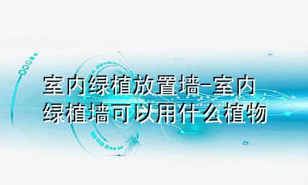 室内绿植放置墙-室内绿植墙可以用什么植物