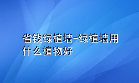 省钱绿植墙-绿植墙用什么植物好