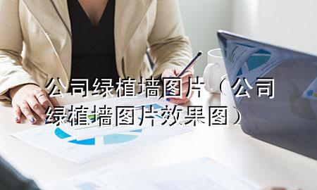 公司绿植墙图片（公司绿植墙图片效果图）