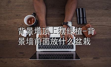 背景墙顶上摆绿植-背景墙前面放什么盆栽