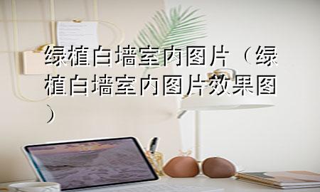 绿植白墙室内图片（绿植白墙室内图片效果图）