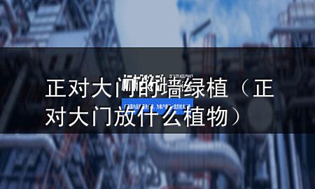 正对大门的墙绿植（正对大门放什么植物）