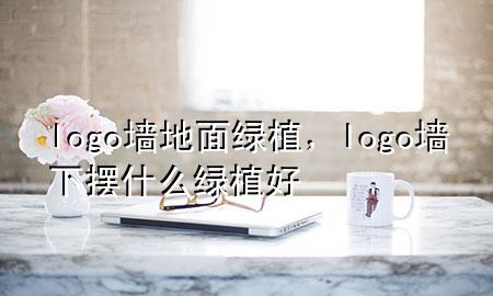 logo墙地面绿植，logo墙下摆什么绿植好