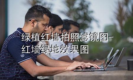 绿植红墙拍照滤镜图-红墙绿地效果图