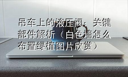 吊车上的液压阀：关键部件解析（白色墙怎么布置绿植图片欣赏）