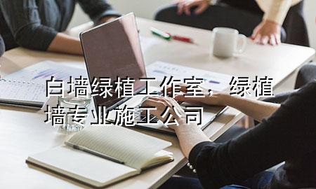 白墙绿植工作室，绿植墙专业施工公司