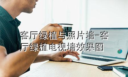 客厅绿植与照片墙-客厅绿植电视墙效果图