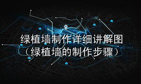 绿植墙制作详细讲解图（绿植墙的制作步骤）