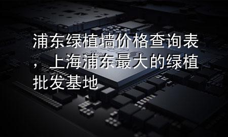 浦东绿植墙价格查询表，上海浦东最大的绿植批发基地