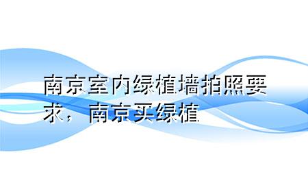 南京室内绿植墙拍照要求，南京买绿植