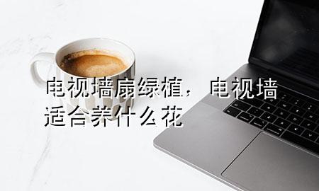 电视墙扇绿植，电视墙适合养什么花