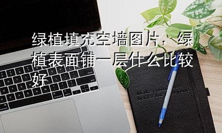 绿植填充空墙图片，绿植表面铺一层什么比较好