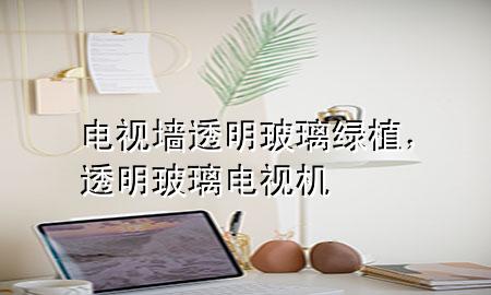 电视墙透明玻璃绿植，透明玻璃电视机