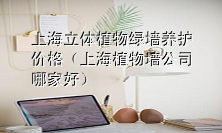 上海立体植物绿墙养护价格（上海植物墙公司哪家好）