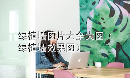 绿植墙图片大全大图（绿植墙效果图）