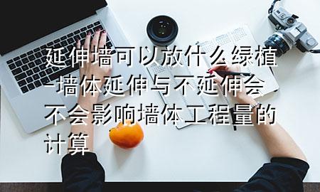 延伸墙可以放什么绿植-墙体延伸与不延伸会不会影响墙体工程量的计算