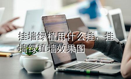 挂墙绿植用什么挂，挂墙绿植墙效果图