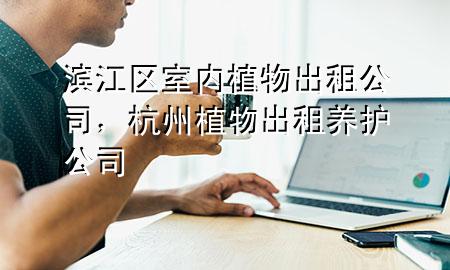 滨江区室内植物出租公司，杭州植物出租养护公司