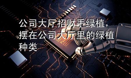 公司大厅招财手绿植，摆在公司大厅里的绿植种类