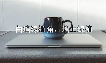 白墙绿植角，墙上绿植