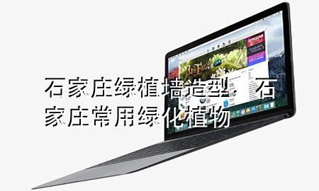 石家庄绿植墙造型，石家庄常用绿化植物