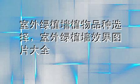 室外绿植墙植物品种选择，室外绿植墙效果图片大全