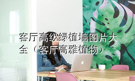 客厅高级绿植墙图片大全（客厅高雅植物）