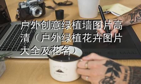 户外创意绿植墙图片高清（户外绿植花卉图片大全及花名）