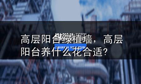 高层阳台绿植墙，高层阳台养什么花合适?