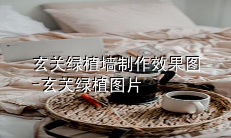 玄关绿植墙制作效果图-玄关绿植图片