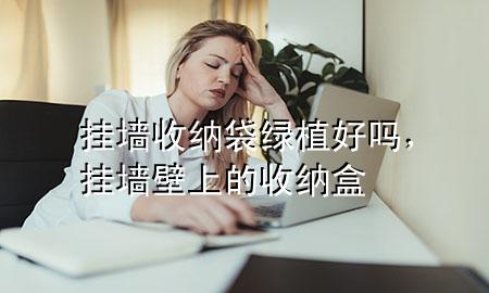 挂墙收纳袋绿植好吗，挂墙壁上的收纳盒