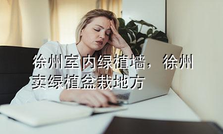 徐州室内绿植墙，徐州卖绿植盆栽地方