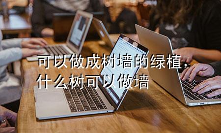 可以做成树墙的绿植，什么树可以做墙