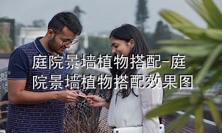 庭院景墙植物搭配-庭院景墙植物搭配效果图