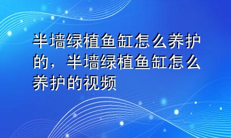 半墙绿植鱼缸怎么养护的，半墙绿植鱼缸怎么养护的视频