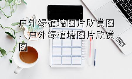 户外绿植墙图片欣赏图，户外绿植墙图片欣赏图