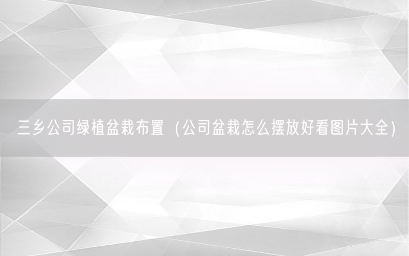 三乡公司绿植盆栽布置（公司盆栽怎么摆放好看图片大全）