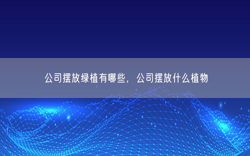 公司摆放绿植有哪些，公司摆放什么植物