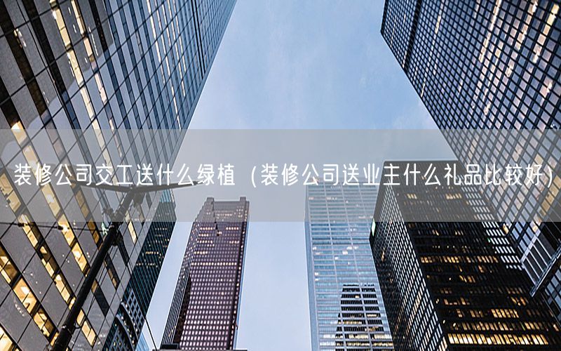 装修公司交工送什么绿植（装修公司送业主什么礼品比较好）