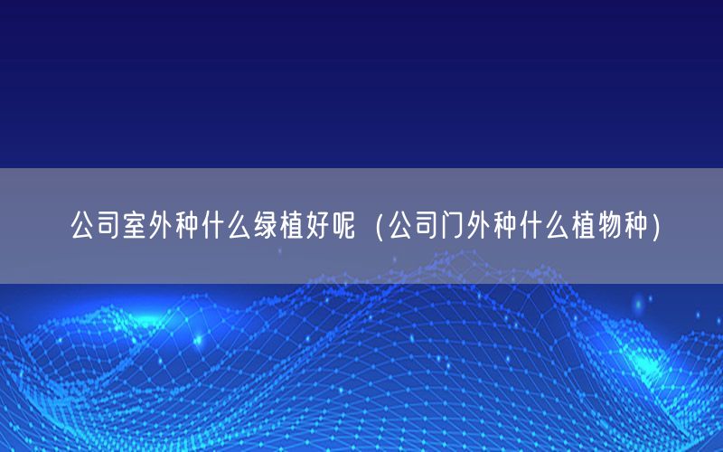 公司室外种什么绿植好呢（公司门外种什么植物种）