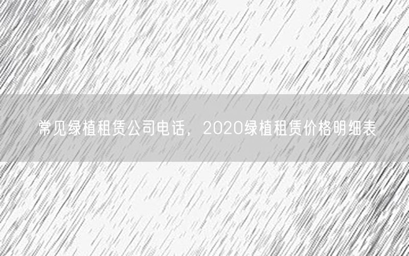 常见绿植租赁公司电话，2020绿植租赁价格明细表